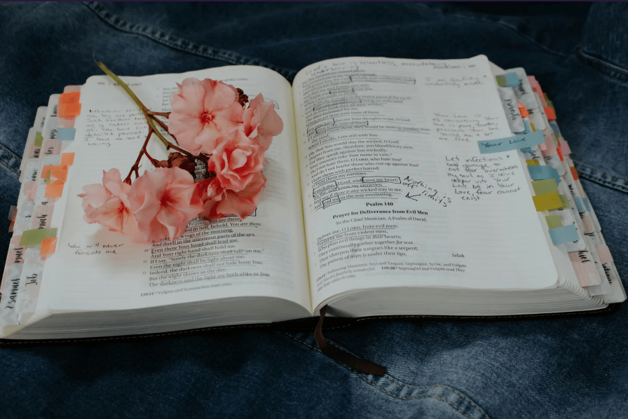 Scripture Reflections | Daniel 12, Ephesians 1, and Philippians&nbsp;1