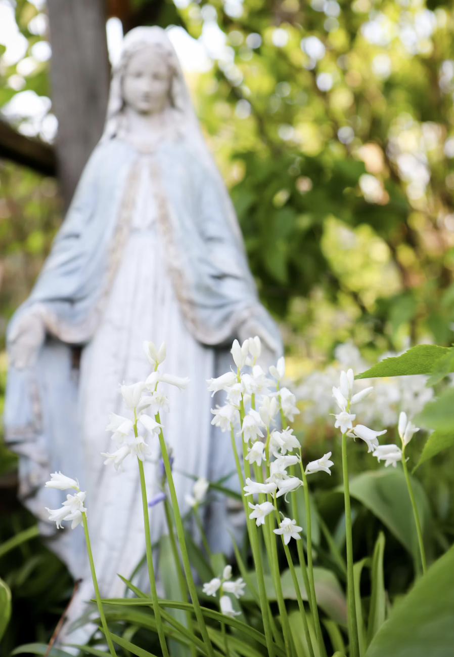 Own Your Belovedness | The Rosary As A Nervous System&nbsp;Reset